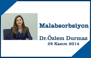 2-ozlemdurmaz